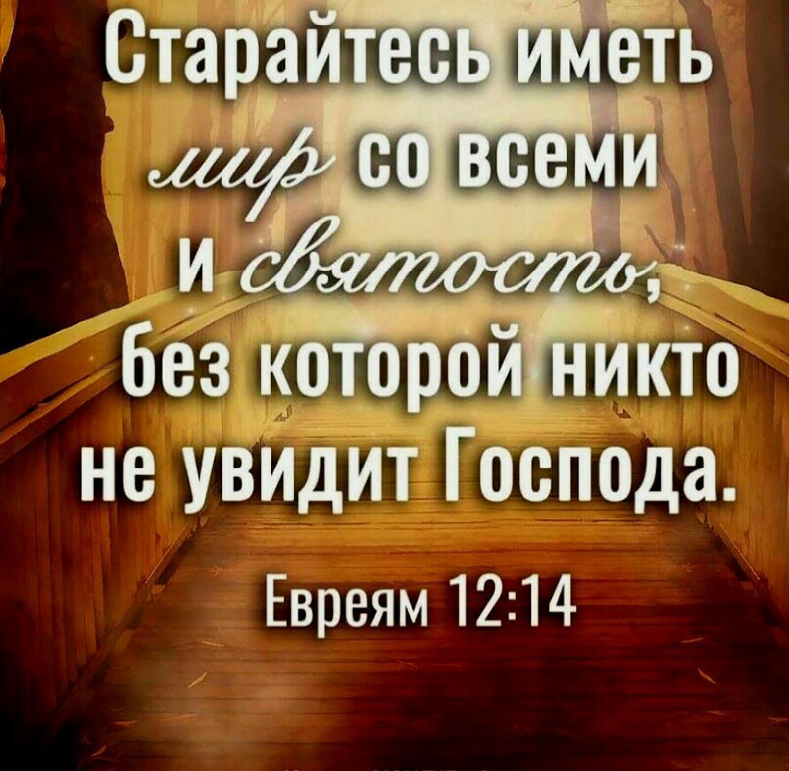 Видел господа. Золотые стихи из Библии. Стишки из Библии. Христианские золотые стихи. Золотые стихи Библии в картинках.