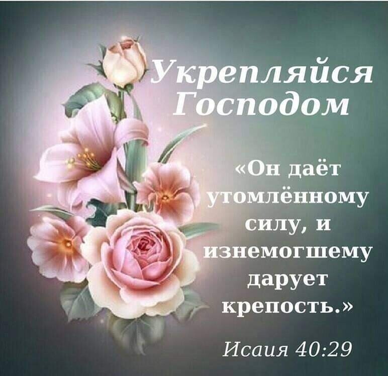 дарует крепость Исаия 4029