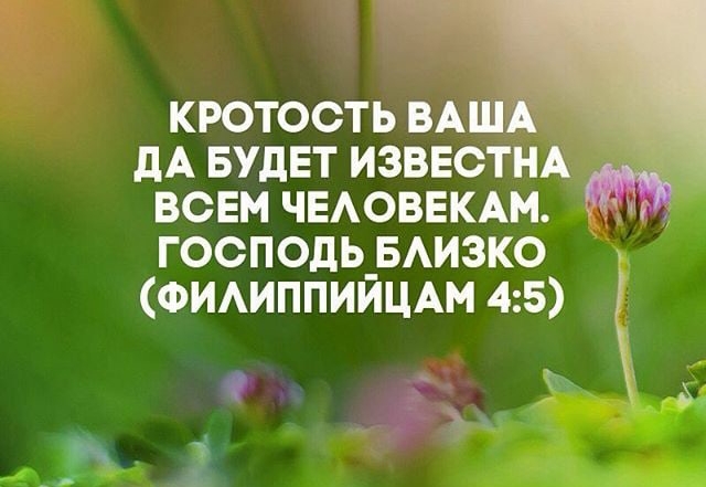 КРОТОСТЬ ВАШ _ дА БУДЕТ ИЗВЕСТНА ВСЕМ ЧЕАОВЕКАМ ГООПОДЬ_БАИЗКО ФИАИППИИЦАМ 45
