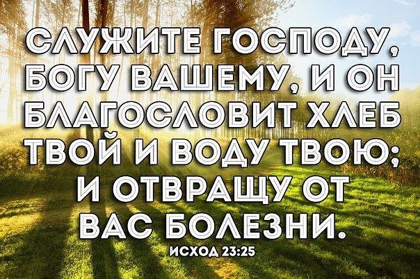 И ОТВРАЩУ ОТ ВАС БОАЕЗНИ ИСХОА 23 25