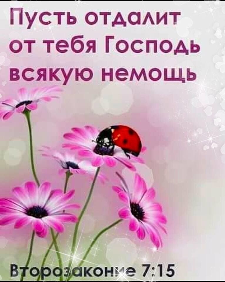 Пусть отдсмит от тебя Господь всякую немощь