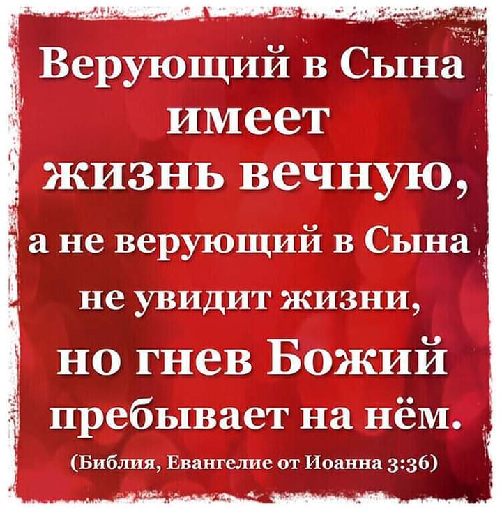 у и и __ Верующий в Сына имеет жизнь вечную не УВИДИТ ЖИЗНИ но гнев Божий пребывает на нём Библия Евангелие от Иоанна 336