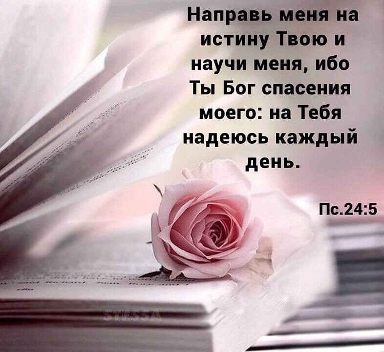 Нап 51 истин уТвою и научи меня ибо Ты Бог спасения моего на Тебя надеюсь каждый