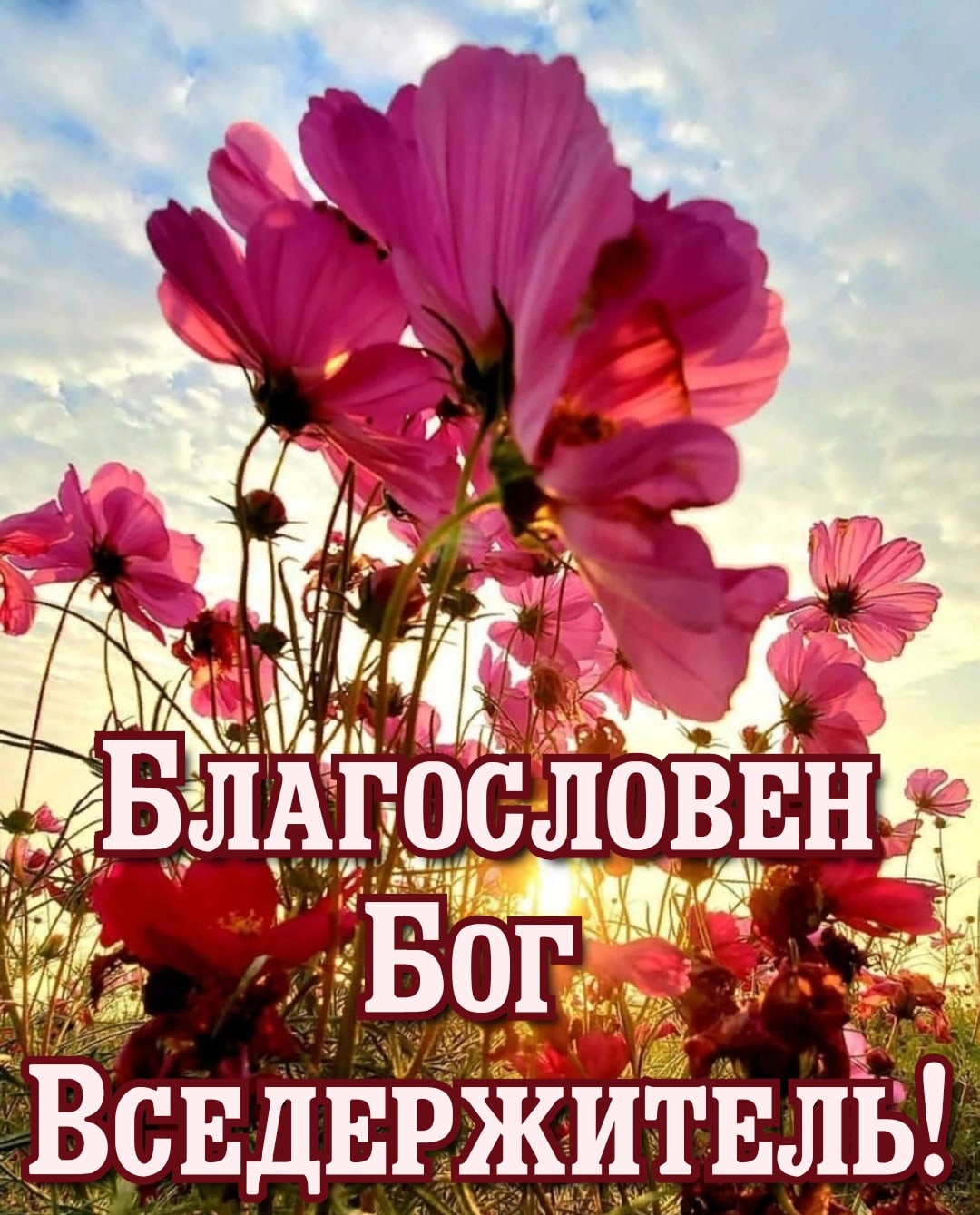 Ё Всвднржитнль