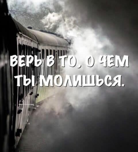 нгч 1333