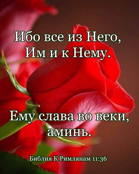 Ибо все из Него ИМ И к Нему ЕМУ судавдёвёоівекщ аМИНЪ Библия К Римлянам 1136