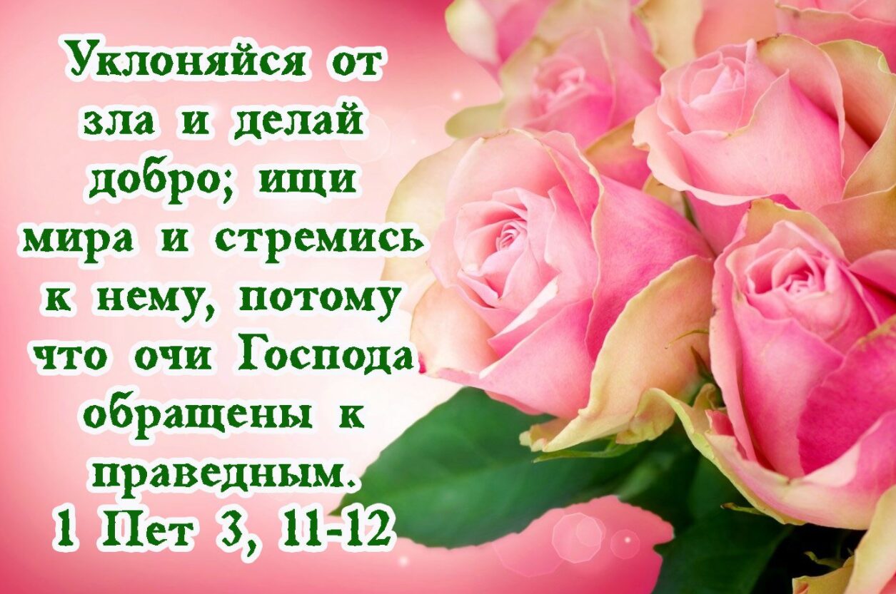 Уклоняйся от зла и делай добро ищи мира и стремись к нему потому что очи Господа А обращены к праведным 1 Нет 3 11 12