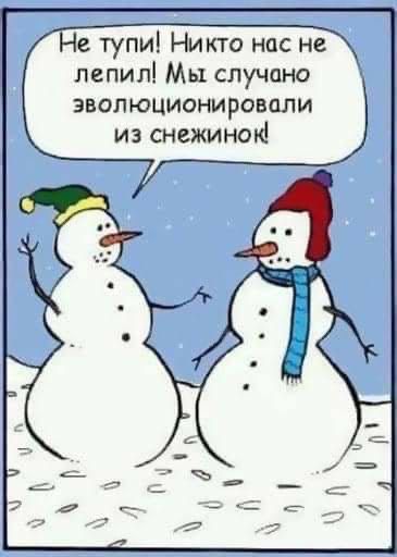 Не тупи Никто нас не лепил Мы случано эволюционировали из снежиноьё