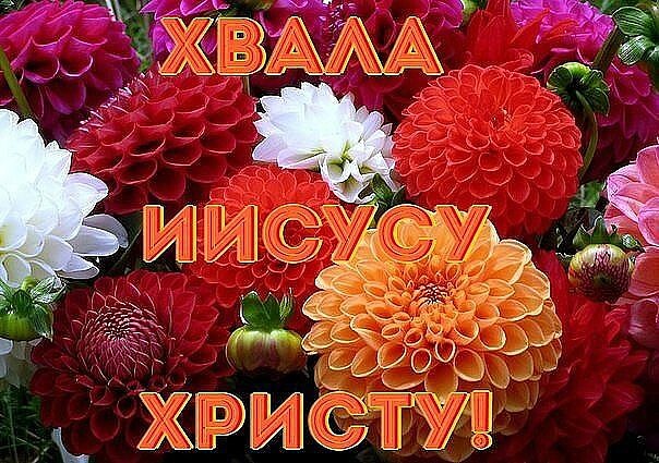 _ ЖРИСЁЭЁЁУЗ