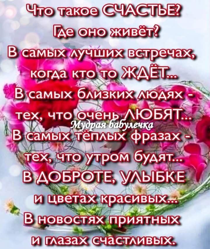 _ _кх овостях Пн в