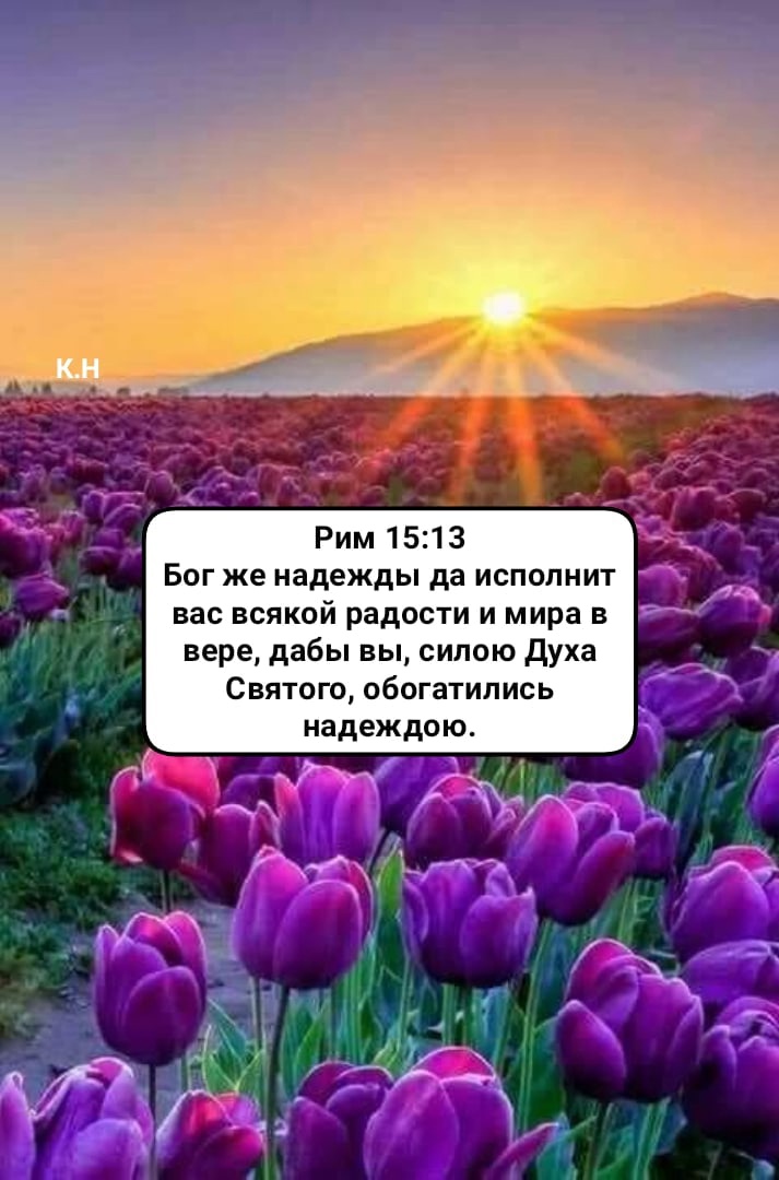 Бог же надежды да исполнит вас всякой радости и мира в вере дабы вы силою Духа Святого обогатились надеждою их