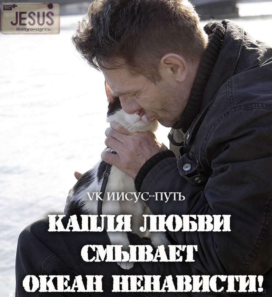 ши шовви смЬшАш опиши пішшвиспн