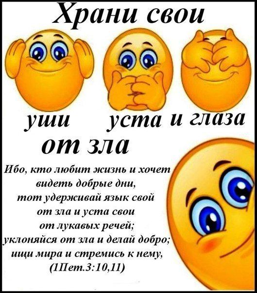 Храни свои Ибо кто любит жизнь и хочет видеть добрые дни тот удерживай язык свой от на иуста свои от лукавых речей уклоняйся ит зла и делай дибра ищи мира и стремись к нему 1Пет31011