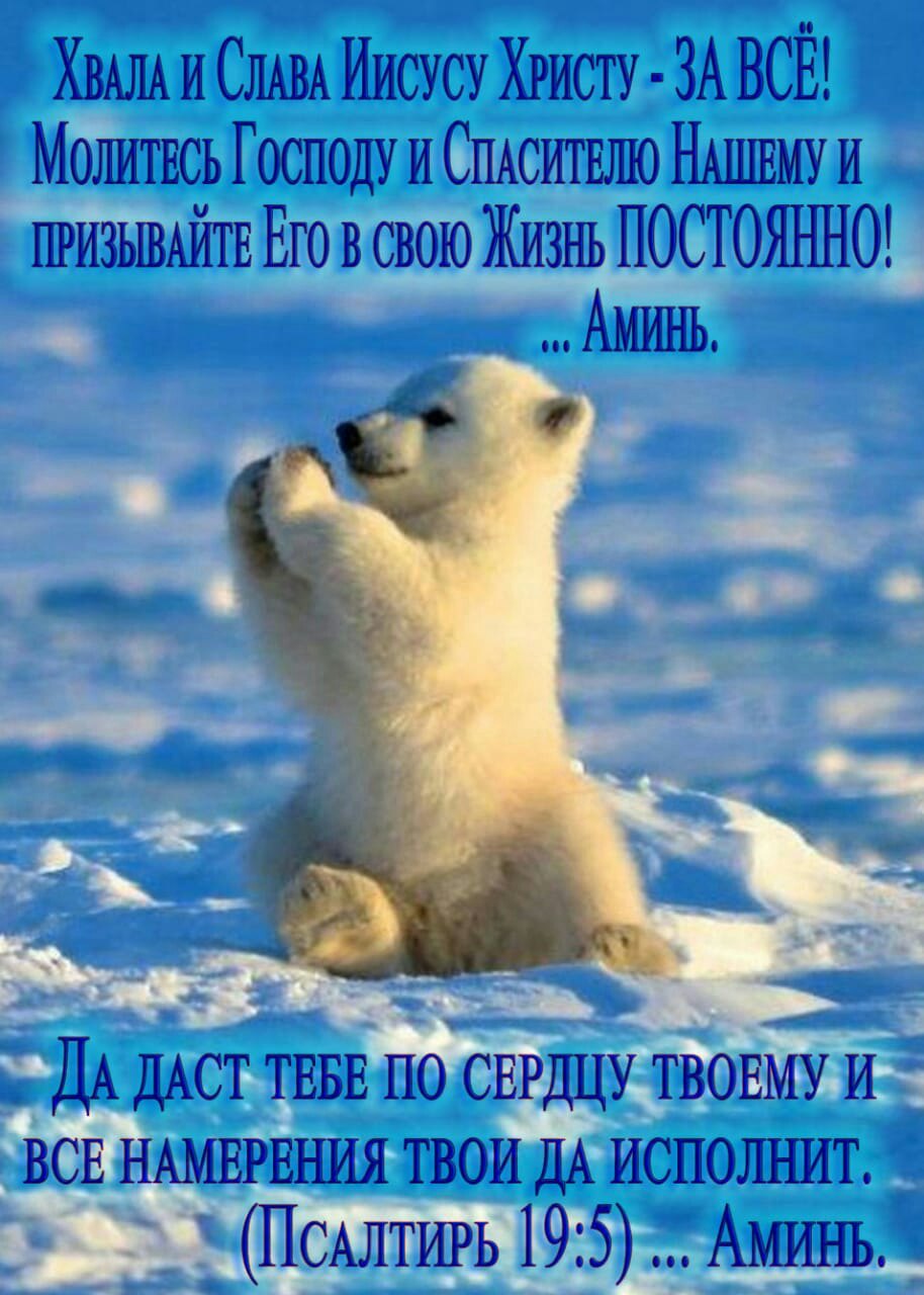 ХААЛА и СЛАВА Иисусу Христу ЗА ВСЁ Мшмтвсь Господу И СПАСИТЕЛЮ НАШЕМУ И ПРИЗЬШАЙТЕ Его в свою ЖИЗНЬ ПОСЮЯЪШО ДА ДАст ТЕБЕ пб СЕРДЦУ ТВОЕААУ И ВСЕ НАМЕРЕНИЯ твои дА ИСПОЛЪШЪ ПСАЛТИРЬ 195 Аминь _