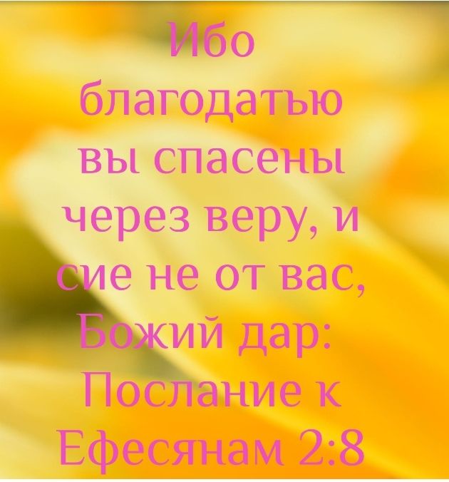 Т благодатью вы спасены через веру и е не от вас Ефесянам 248 _
