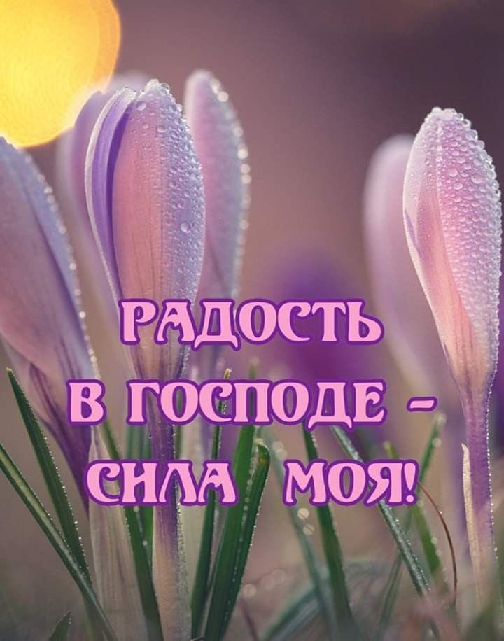 ешёА мояі ЧЁ