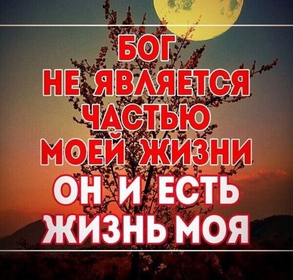 оніитсть жизнь моя