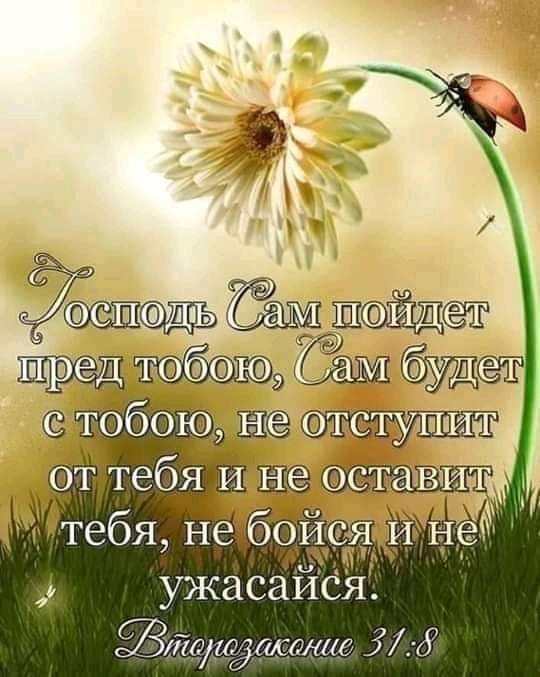 Щбйдбт э а Мбудсэт УЖЗСЗЙСЯ соае 119