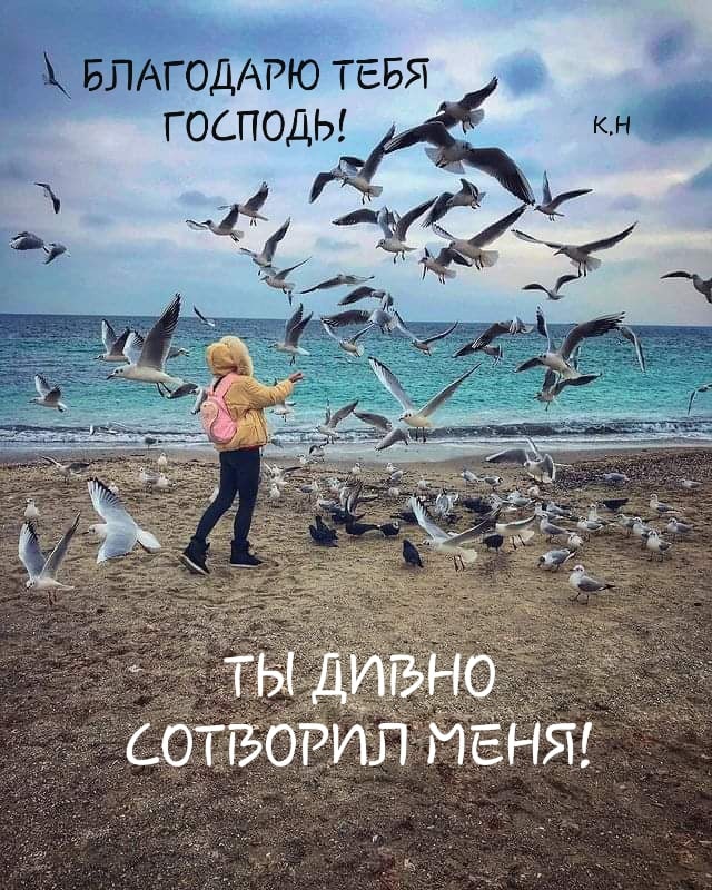 Ё БЛАГОДАРЮ ТЕБЯ господы