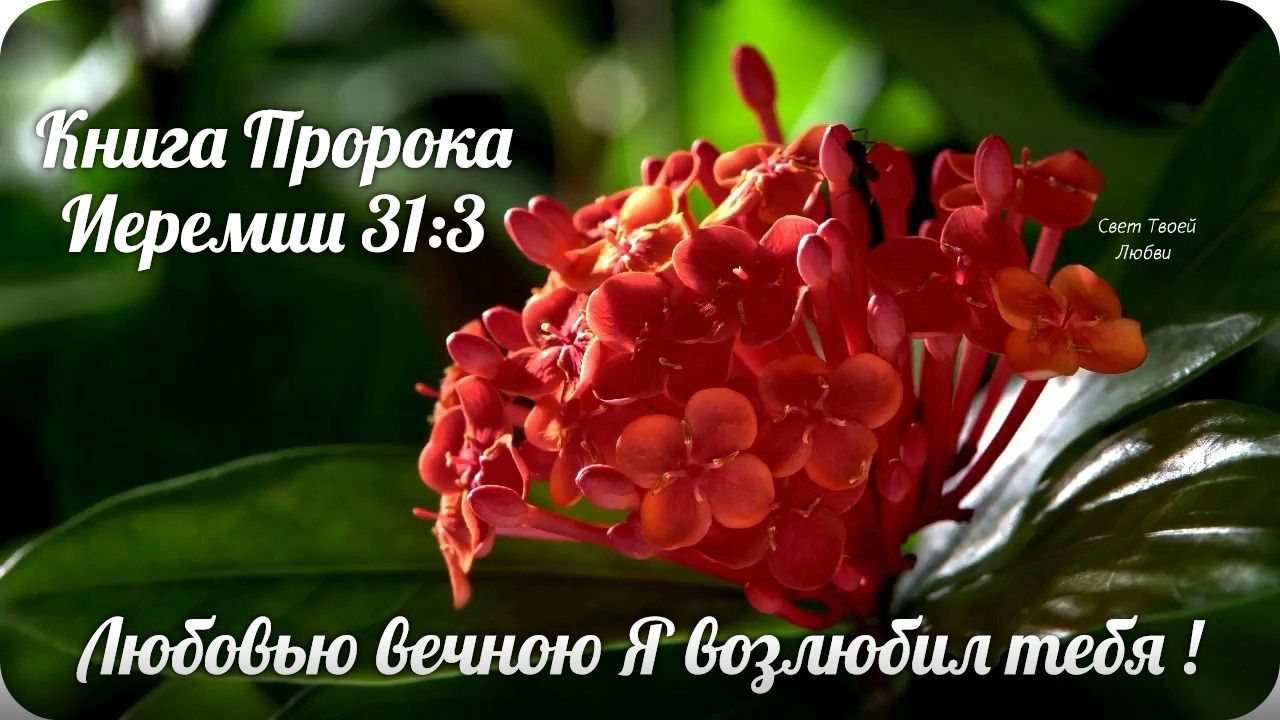 _Любодью Везишю Я тебя тд07 г7 УГ і