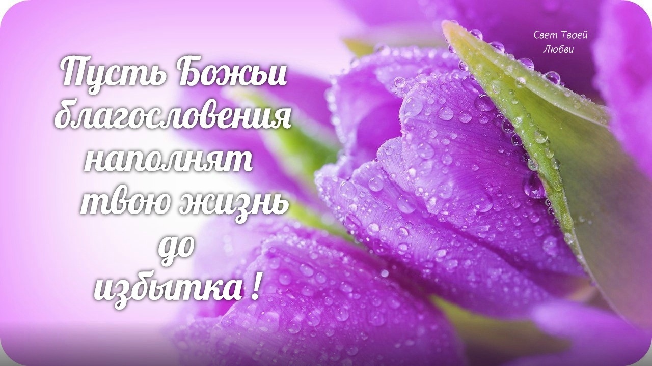 Свет Твоей Любви 115 113 ЮЁЙ 514