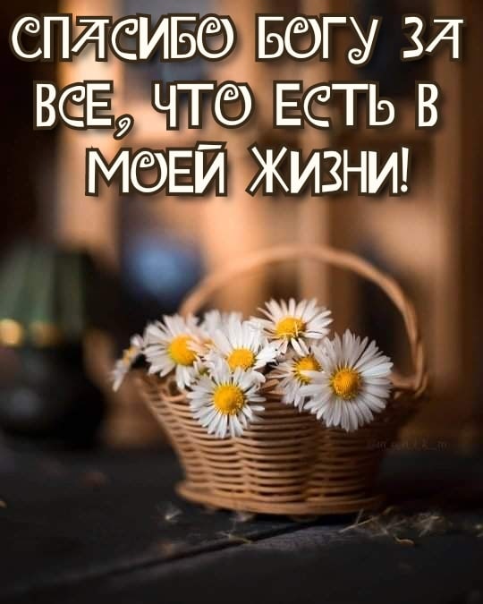 ЕЁТЬ 3 Ч епйсивёд Югу и тд ЕЙ ЖИЗНИ ВЁЕИ