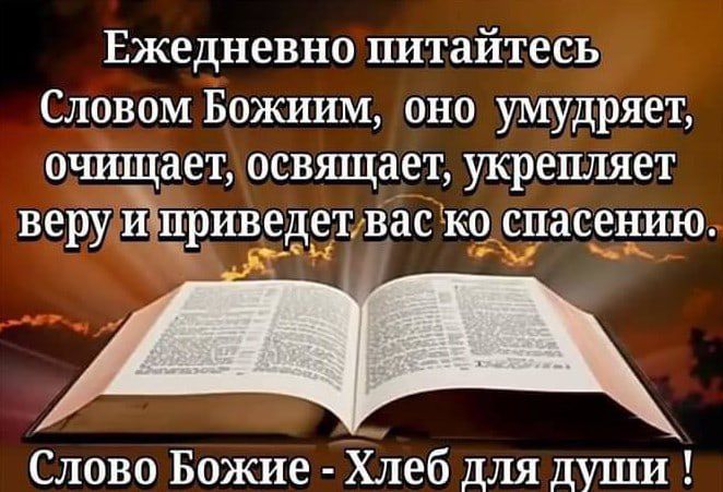 Ежедневно питайтесь Словом Божиим оно умудряет очищает освящает укрепляет веру иёцриведетвас ко спасению Слово Божие ХЛеб для души