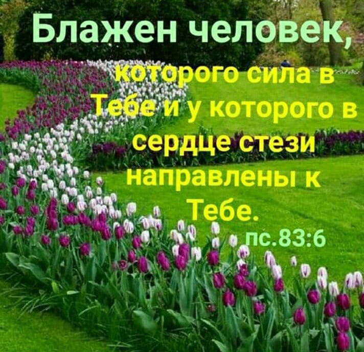 Блаже _ аъ н челэёеёкъ г я идг