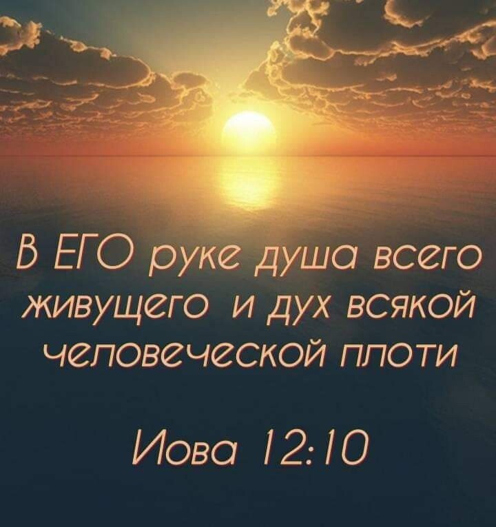 В ЕГО руке душо всего живущего и дух всякой человеческой ппоти Иово 1210