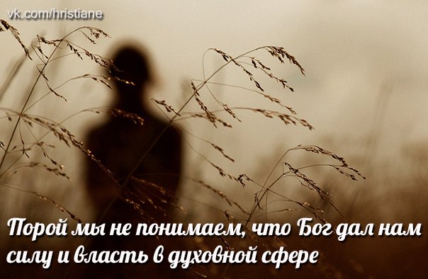 шлцидмшппьвушрвнойсфере