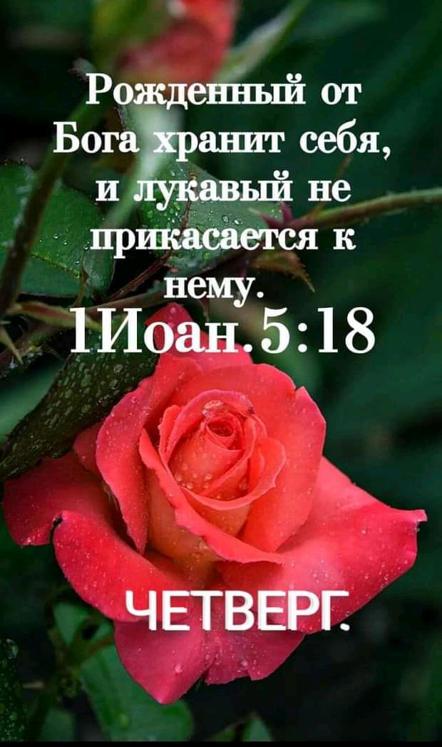 Рожденйый от Бога анит себя и ый не прикасается к _ 1ИОНЁЁУ5 18 ЧЕТВЕБЁ
