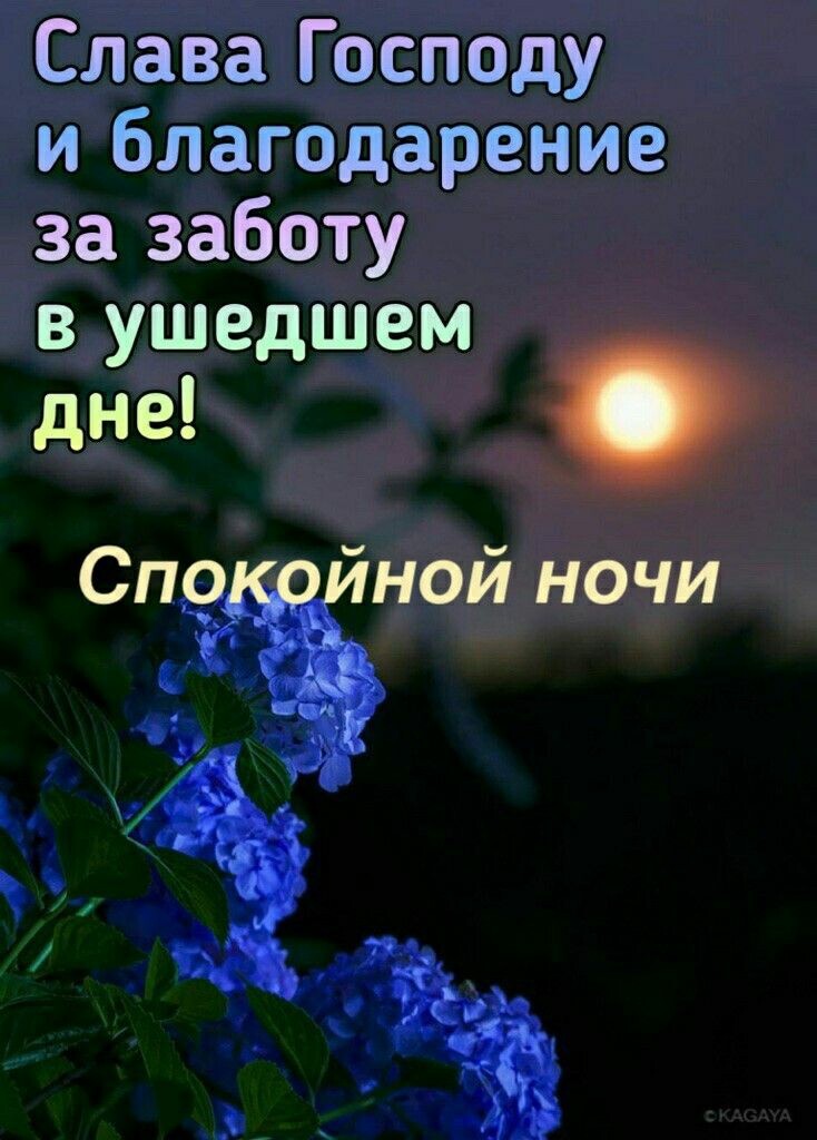 Слава Господу и благодарение за заботу в ушедшем Сп ной ночи Ы