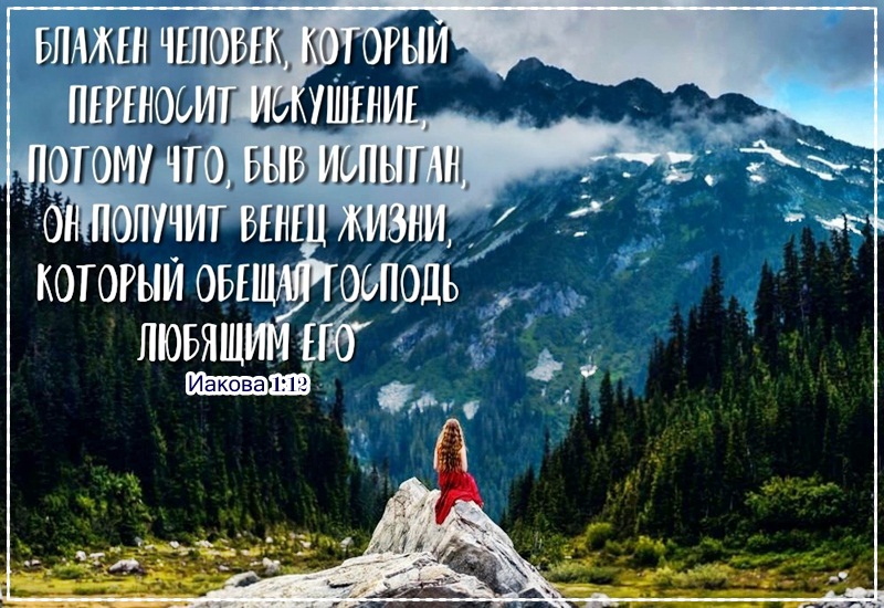 ымжън ший м оРы