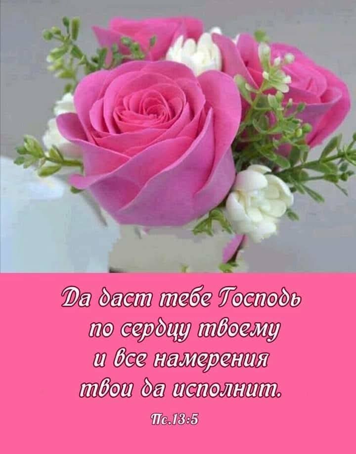 Ш ПЁЗЗБ