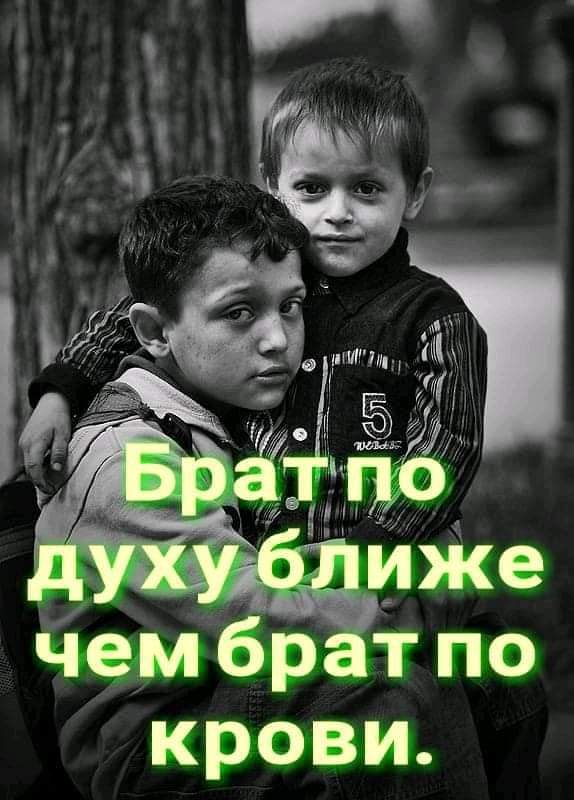 чембрат по крови