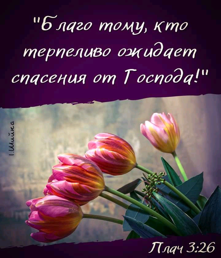 Благо тому Кто терпеливо ожидает спасения от Господа