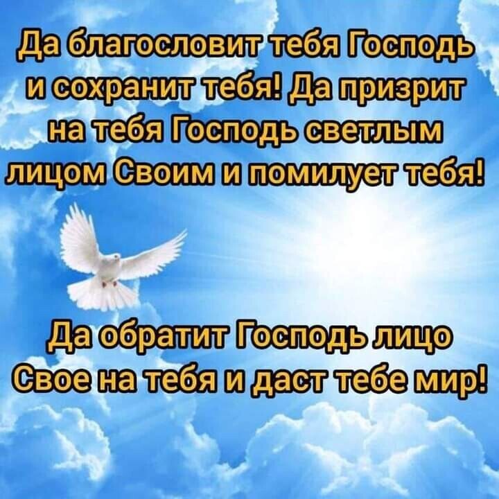 имт Иди ппц тп двиг тмина Маш тнт