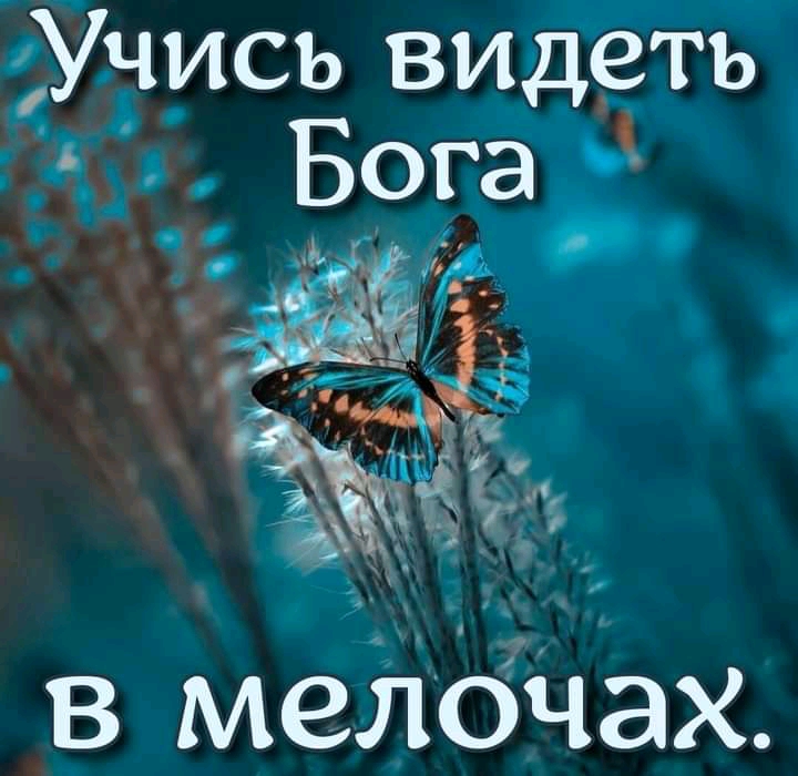 Учись видеть в мелбЧах