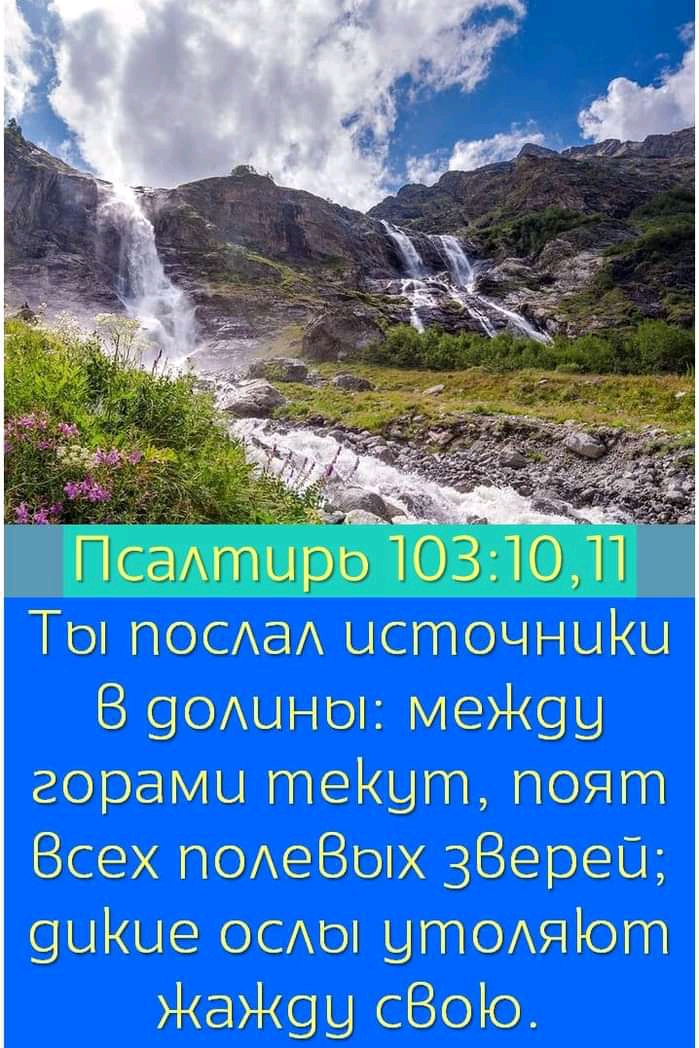 Псан ггшро ОЗГМЛЙ Тс поща ысточныКы В 9ОАЦНО2 меЖ9у горами теКут поят Всех ПОАеВЫХ зверек 9ЦКЦе ОСАО ЦГПОАЯЮГП ЖЭЖ9Ц сВоіо