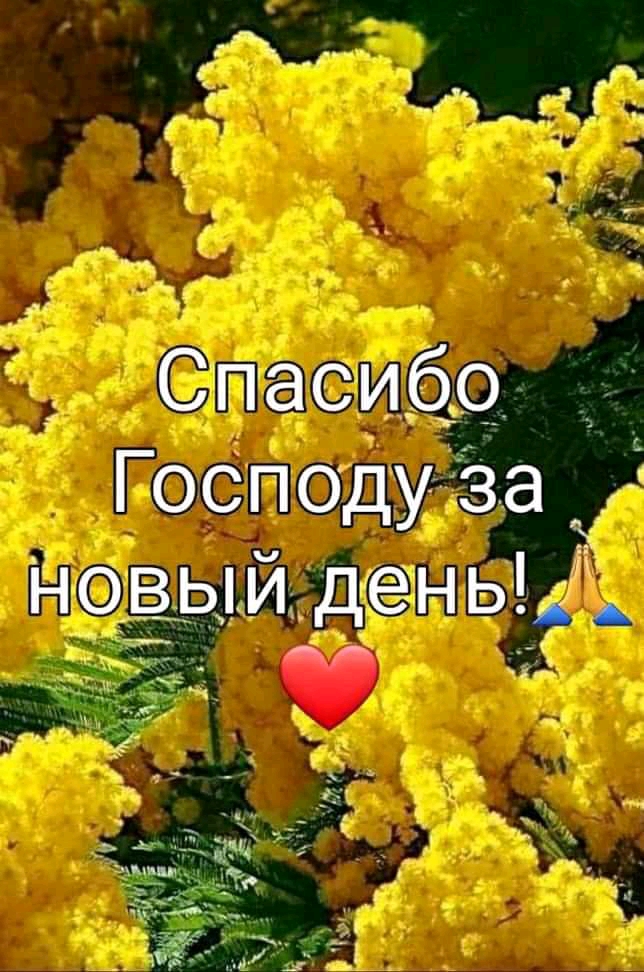 г 2 Спасиёц ГоСподудіза ___ новыи день ч