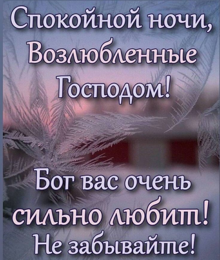 Спокойной ночи Вовюбаеннеы Бог вас счет ГАюбитп 795313 _и Неза ыВаите