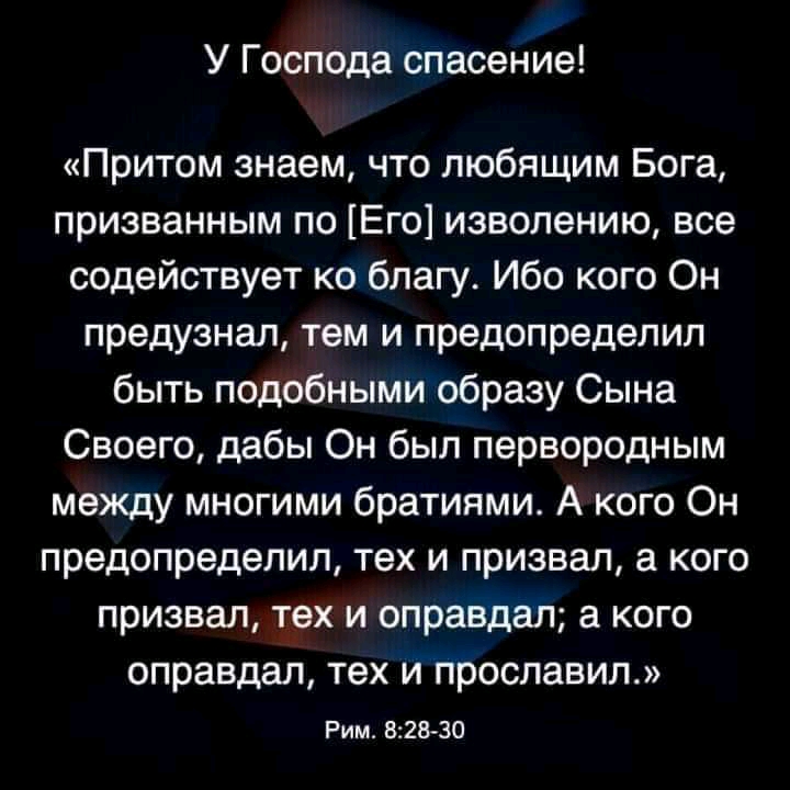 У Господа спасение Притом знаем что любящим Бога призванным по Его изволению все содействует ко благу Ибо кого Он предузнал тем и предопределил быть подобными образу Сына Своего дабы Он был первородным между многими братиями А кого Он предопределил тех и призвал а кого призвал тех и оправдал а кого оправдал тех и прославил Рим 8228 30