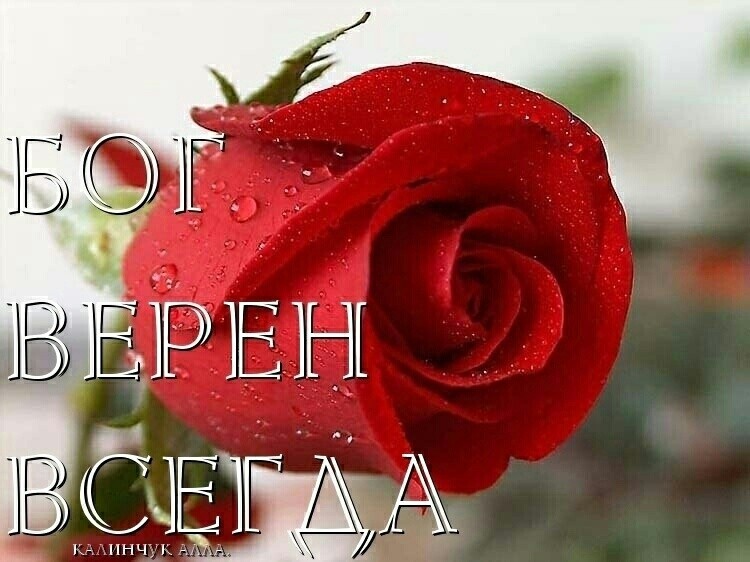 _ _ ШЁЬ