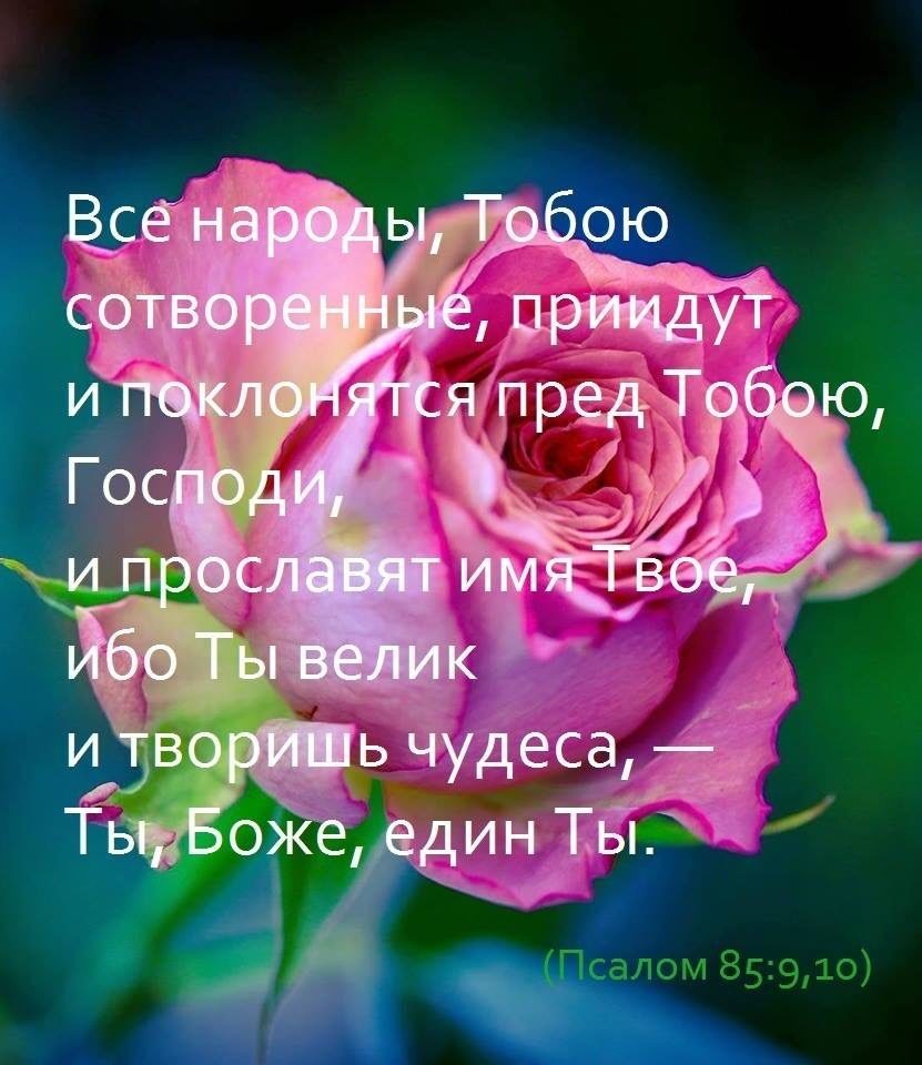 ом 85910