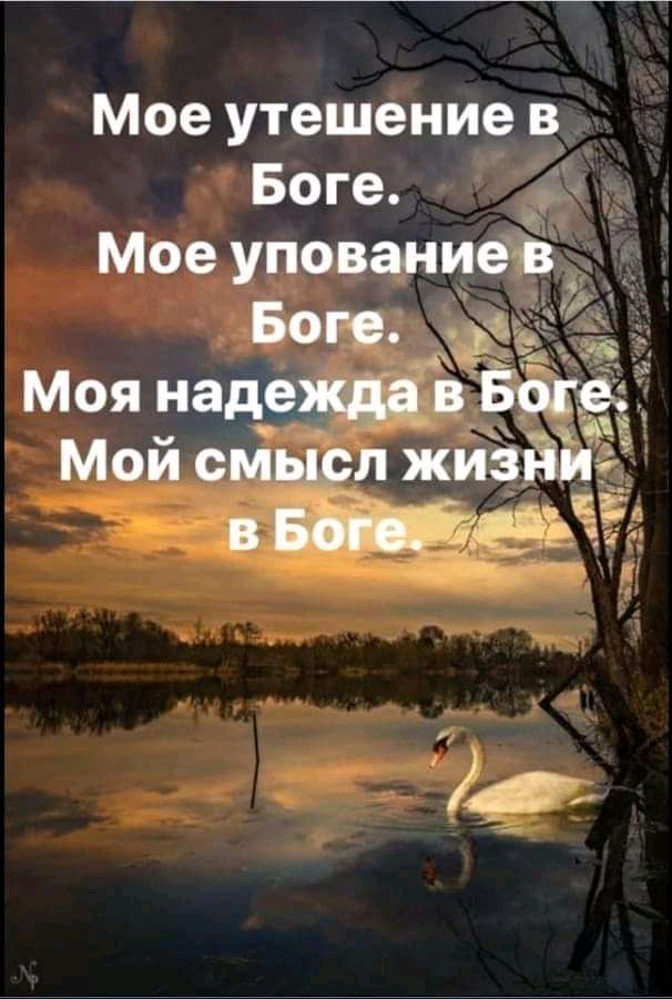 Мое утешение в у 1 5 Боге