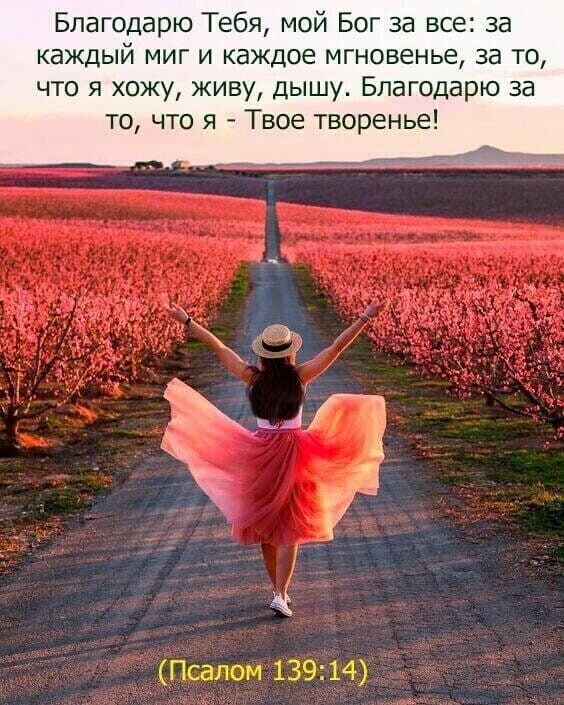 Благодарю Тебя мой Бог за все за каждый миг и каждое мгновенье за то что я хожу живу дышу Благодарю за то что я Твое творенье дд Псалом 139 14