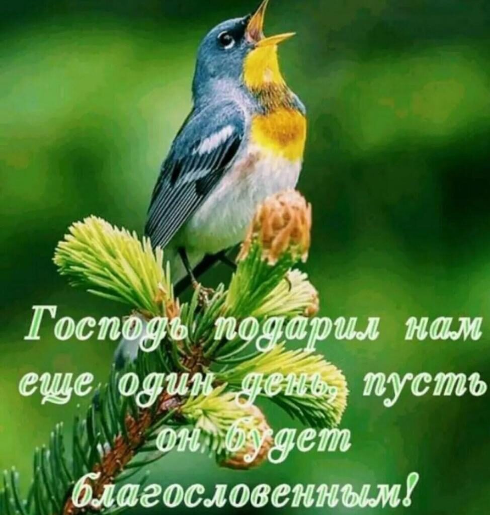 Дагословенш