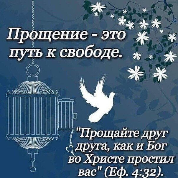 Прощение это путьксвободе Прощайт друг друга как И Бог во Христе простил вас Еф 432