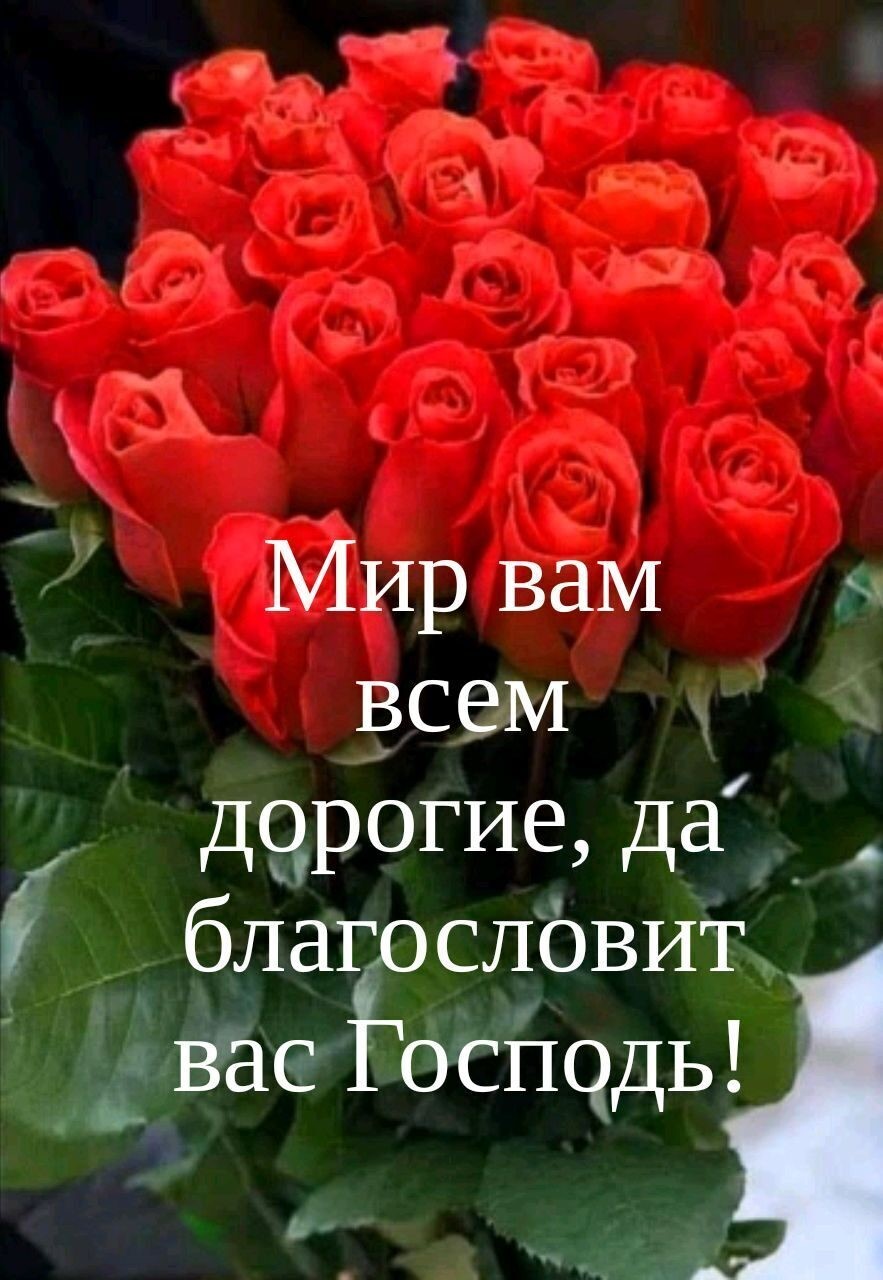 Мир вам к всем д9рогие да благёэслёвит __ Вас оспцдь
