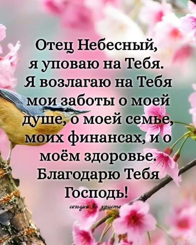 с Отец Небесный я уповаю на Тебя Я возлагаю на ёбя МОЗМ ЗДОРОВЬЕ Благодарю Теб Господь ъ